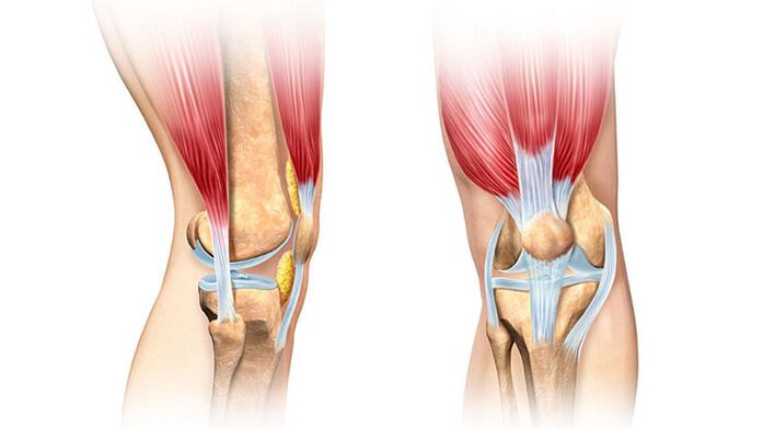 Articolazione del ginocchio e trattamento del dolore